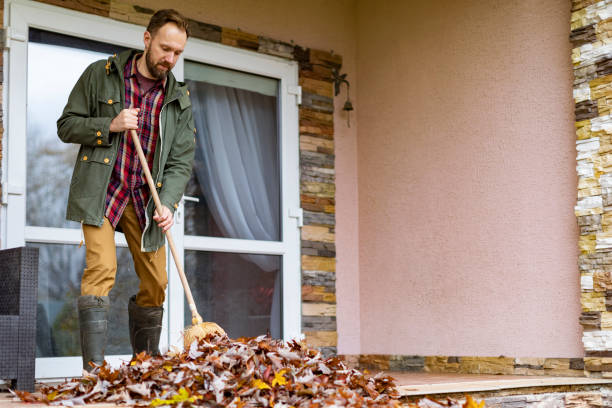Best Basement Cleanout Services  in Westwood, MI